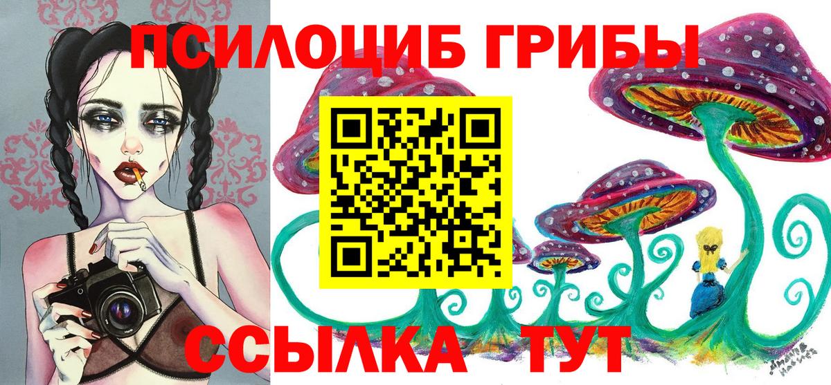 купить   Галлюциногенные грибы Cubensis  Вход с VPN  Тавда 